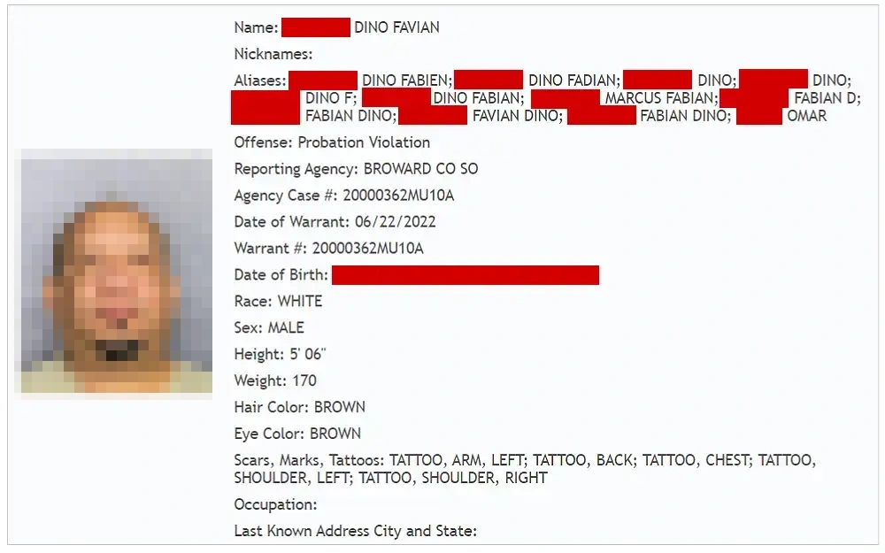 A screenshot displaying a wanted person's information showing the preview photo, name, nicknames, aliases, offense, reporting agency, agency case number, date of warrant, warrant number, date of birth, race, sex and others.
